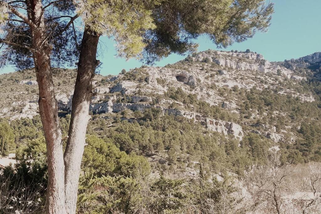 Vue panoramique sur le château,montagne et grottes Fontaine-de-Vaucluse Extérieur photo