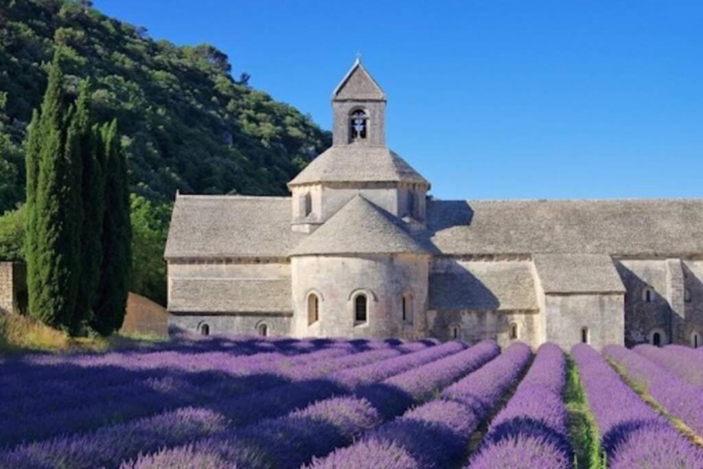 Vue panoramique sur le château,montagne et grottes Fontaine-de-Vaucluse Extérieur photo